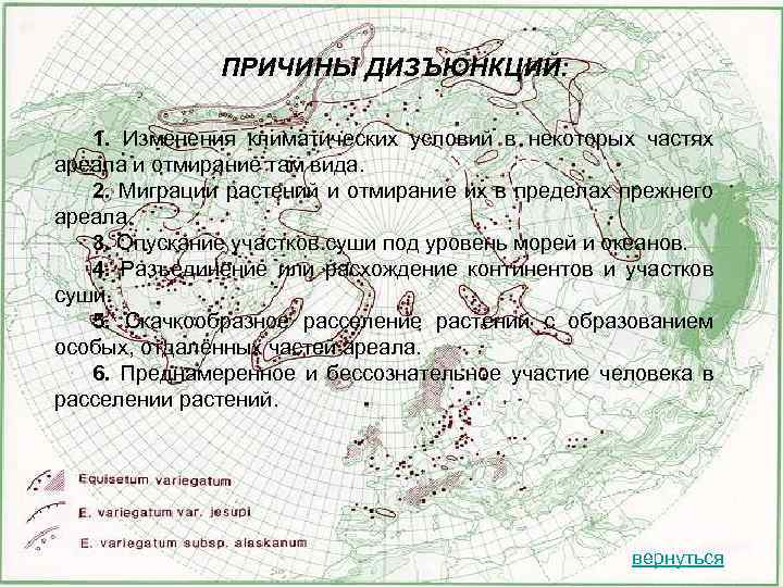 ПРИЧИНЫ ДИЗЪЮНКЦИЙ: 1. Изменения климатических условий в некоторых частях ареала и отмирание там вида.