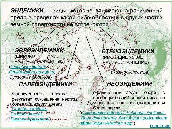 ЭНДЕМИКИ – виды, которые занимают ограниченный ареал в пределах какой-либо области и в других