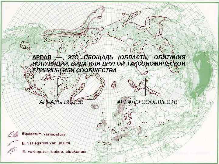 АРЕАЛ — ЭТО ПЛОЩАДЬ (ОБЛАСТЬ) ОБИТАНИЯ ПОПУЛЯЦИИ, ВИДА ИЛИ ДРУГОЙ ТАКСОНОМИЧЕСКОЙ ЕДИНИЦЫ ИЛИ СООБЩЕСТВА