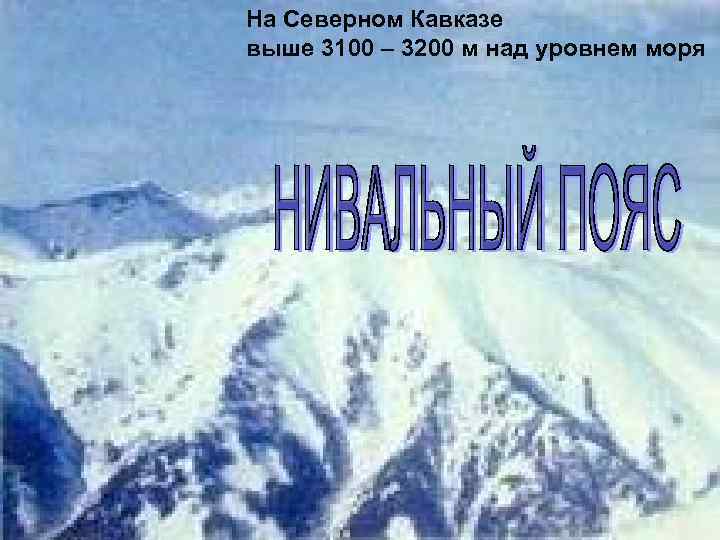 На Северном Кавказе выше 3100 – 3200 м над уровнем моря 