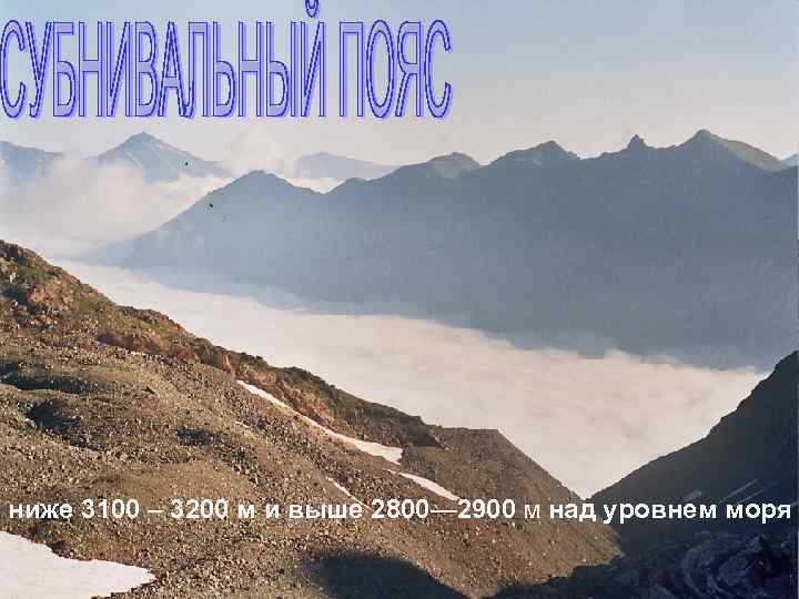 ниже 3100 – 3200 м и выше 2800— 2900 м над уровнем моря 