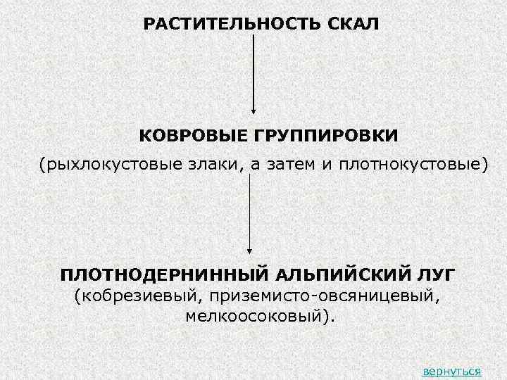 РАСТИТЕЛЬНОСТЬ СКАЛ КОВРОВЫЕ ГРУППИРОВКИ (рыхлокустовые злаки, а затем и плотнокустовые) ПЛОТНОДЕРНИННЫЙ АЛЬПИЙСКИЙ ЛУГ (кобрезиевый,