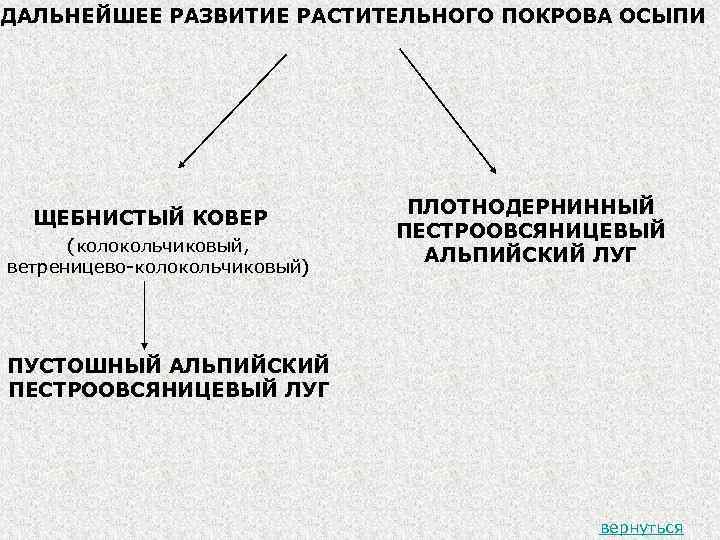 ДАЛЬНЕЙШЕЕ РАЗВИТИЕ РАСТИТЕЛЬНОГО ПОКРОВА ОСЫПИ ЩЕБНИСТЫЙ КОВЕР (колокольчиковый, ветреницево-колокольчиковый) ПЛОТНОДЕРНИННЫЙ ПЕСТРООВСЯНИЦЕВЫЙ АЛЬПИЙСКИЙ ЛУГ ПУСТОШНЫЙ