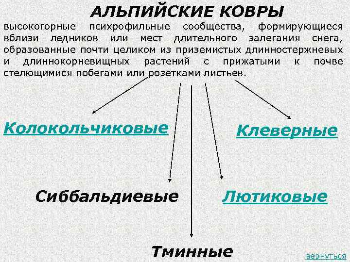 АЛЬПИЙСКИЕ КОВРЫ высокогорные психрофильные сообщества, формирующиеся вблизи ледников или мест длительного залегания снега, образованные