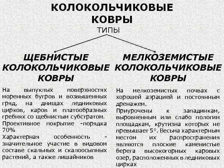 КОЛОКОЛЬЧИКОВЫЕ КОВРЫ ТИПЫ ЩЕБНИСТЫЕ МЕЛКОЗЕМИСТЫЕ КОЛОКОЛЬЧИКОВЫЕ КОВРЫ На выпуклых поверхностях моренных бугров и возвышенных