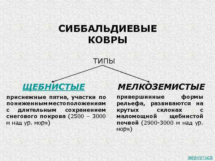 СИББАЛЬДИЕВЫЕ КОВРЫ ТИПЫ ЩЕБНИСТЫЕ приснежные пятна, участки по пониженным местоположениям с длительным сохранением снегового