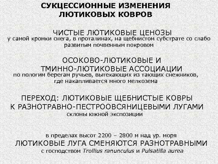 СУКЦЕССИОННЫЕ ИЗМЕНЕНИЯ ЛЮТИКОВЫХ КОВРОВ ЧИСТЫЕ ЛЮТИКОВЫЕ ЦЕНОЗЫ у самой кромки снега, в проталинах, на