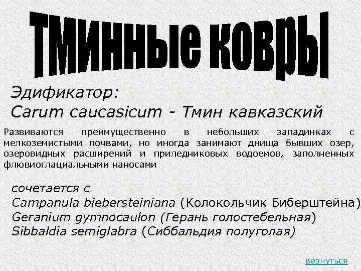 Эдификатор: Carum caucasicum - Тмин кавказский Развиваются преимущественно в небольших западинках с мелкоземистыми почвами,