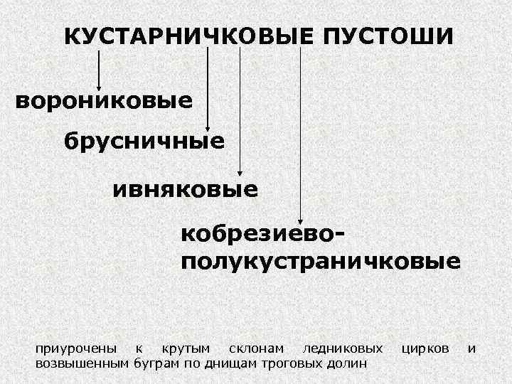 КУСТАРНИЧКОВЫЕ ПУСТОШИ ворониковые брусничные ивняковые кобрезиевополукустраничковые приурочены к крутым склонам ледниковых возвышенным буграм по