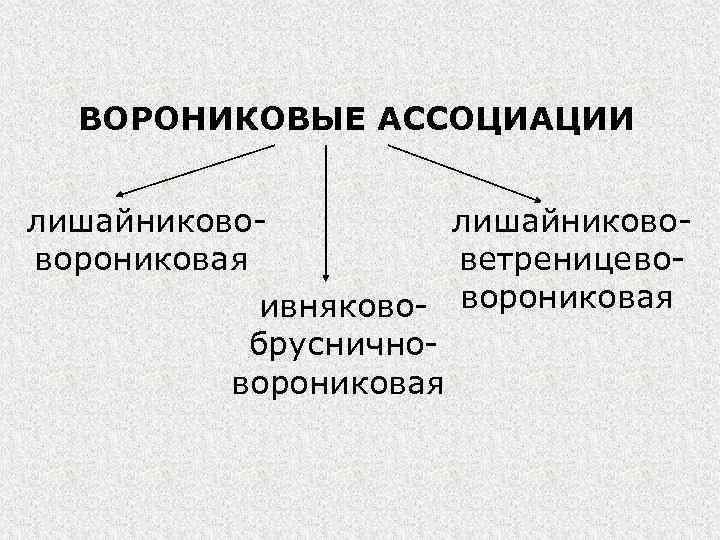 ВОРОНИКОВЫЕ АССОЦИАЦИИ лишайникововетреницевоворониковая ивняково- ворониковая брусничноворониковая 