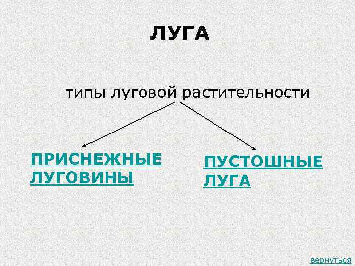 ЛУГА типы луговой растительности ПРИСНЕЖНЫЕ ЛУГОВИНЫ ПУСТОШНЫЕ ЛУГА вернуться 