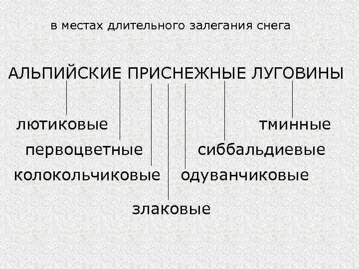 в местах длительного залегания снега АЛЬПИЙСКИЕ ПРИСНЕЖНЫЕ ЛУГОВИНЫ лютиковые тминные первоцветные колокольчиковые сиббальдиевые одуванчиковые