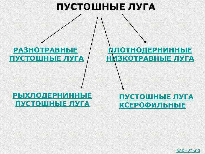 ПУСТОШНЫЕ ЛУГА РАЗНОТРАВНЫЕ ПУСТОШНЫЕ ЛУГА РЫХЛОДЕРНИННЫЕ ПУСТОШНЫЕ ЛУГА ПЛОТНОДЕРНИННЫЕ НИЗКОТРАВНЫЕ ЛУГА ПУСТОШНЫЕ ЛУГА КСЕРОФИЛЬНЫЕ