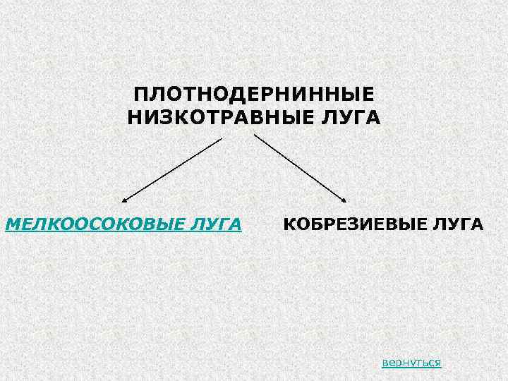 ПЛОТНОДЕРНИННЫЕ НИЗКОТРАВНЫЕ ЛУГА МЕЛКООСОКОВЫЕ ЛУГА КОБРЕЗИЕВЫЕ ЛУГА вернуться 