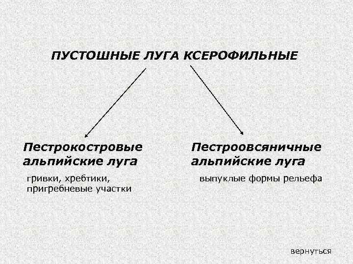 ПУСТОШНЫЕ ЛУГА КСЕРОФИЛЬНЫЕ Пестрокостровые альпийские луга гривки, хребтики, пригребневые участки Пестроовсяничные альпийские луга выпуклые