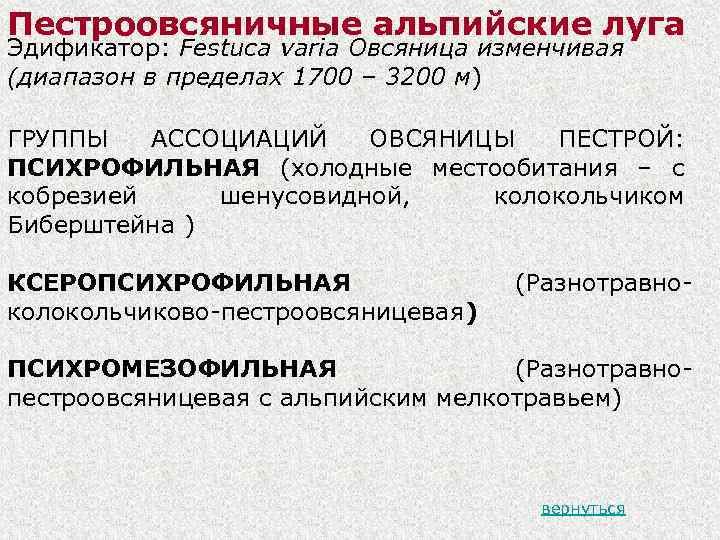 Пестроовсяничные альпийские луга Эдификатор: Festuca varia Овсяница изменчивая (диапазон в пределах 1700 – 3200