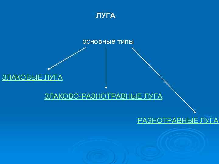 ЛУГА основные типы ЗЛАКОВЫЕ ЛУГА ЗЛАКОВО-РАЗНОТРАВНЫЕ ЛУГА 
