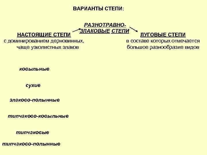 ВАРИАНТЫ СТЕПИ: РАЗНОТРАВНОЗЛАКОВЫЕ СТЕПИ НАСТОЯЩИЕ СТЕПИ с доминированием дерновинных, чаще узколистных злаков ковыльные сухие