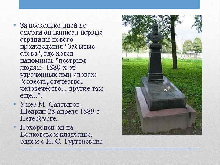 Салтыков щедрин история фамилии. Михаил Евграфович Салтыков Щедрин смерть. Могила писателя Салтыкова-Щедрина. Салтыков Щедрин последние годы жизни писателя.