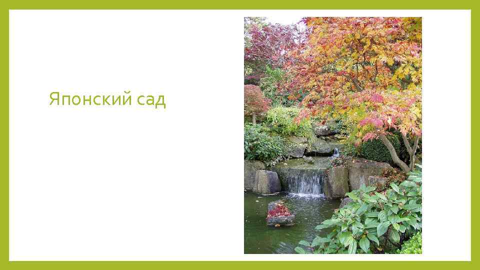 Японский сад 