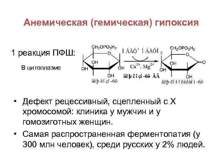 Анемическая (гемическая) гипоксия 1 реакция ПФШ: В цитоплазме • Дефект рецессивный, сцепленный с Х