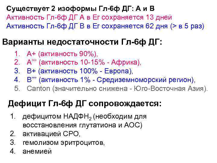 Существует 2 изоформы Гл-6 ф ДГ: А и В Активность Гл-6 ф ДГ А