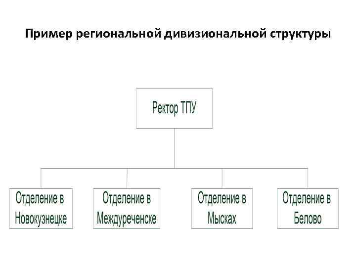 Пример региональной дивизиональной структуры 