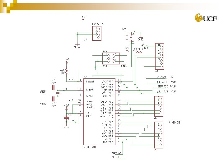 University of Central Florida 