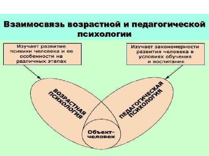 Курс педагогической психологии. . Соотношение возрастной и педагогической психологии. Задачи возрастной и педагогической психологии. Взаимосвязь возрастной и педагогической психологии. Предмет,объект возрастной и педагогической психологии.