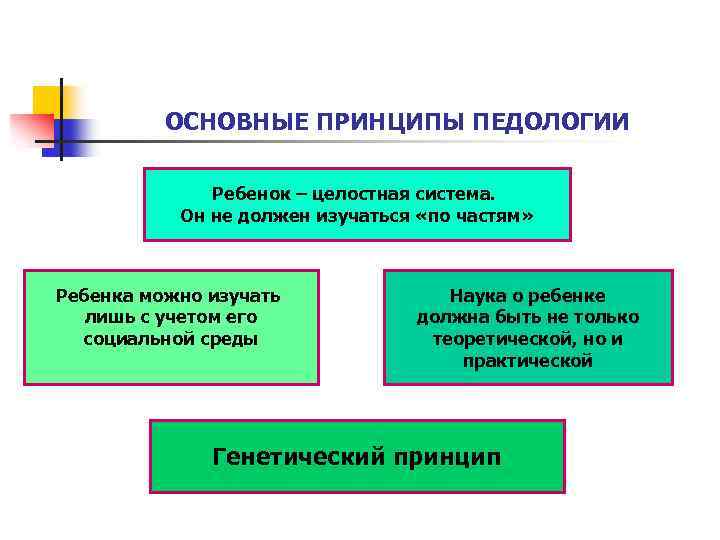 ОСНОВНЫЕ ПРИНЦИПЫ ПЕДОЛОГИИ Ребенок – целостная система. Он не должен изучаться «по частям» Ребенка