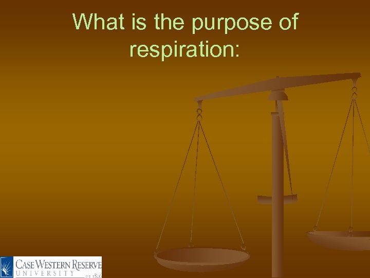 What is the purpose of respiration: 