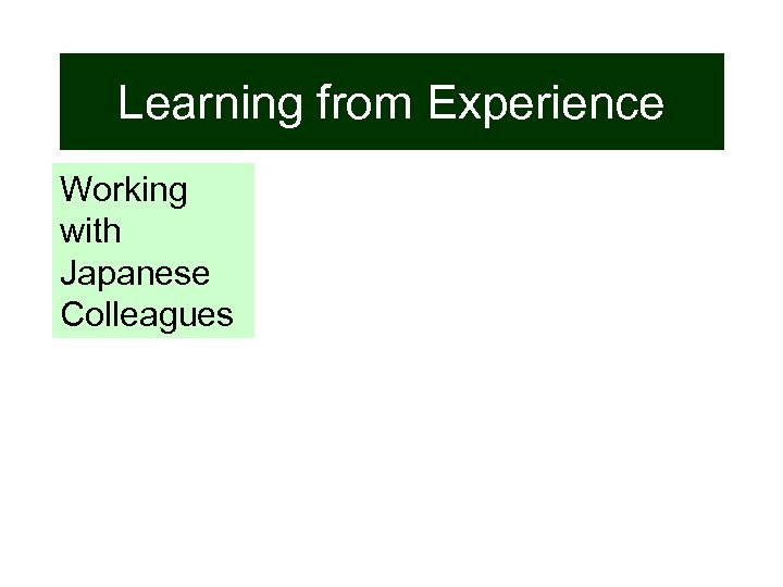 Learning from Experience Working with Japanese Colleagues 