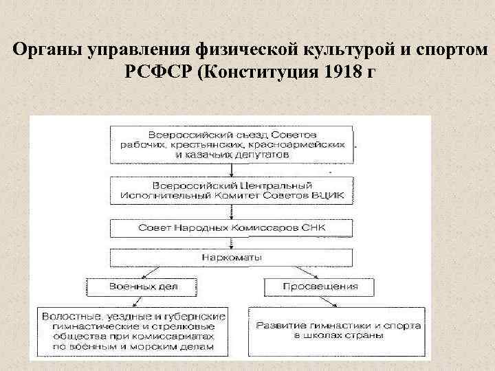 Органы управления физической культурой и спортом РСФСР (Конституция 1918 г 