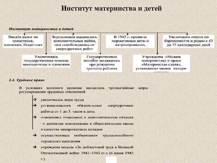 Институт материнства и детей 