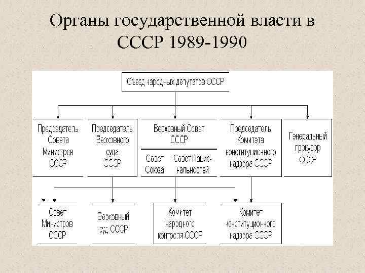 Органы государственной власти в СССР 1989 -1990 