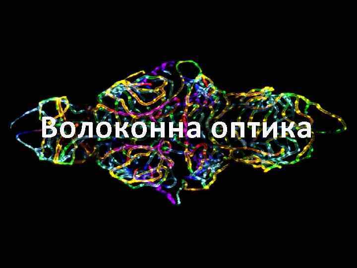 Волоконна оптика 