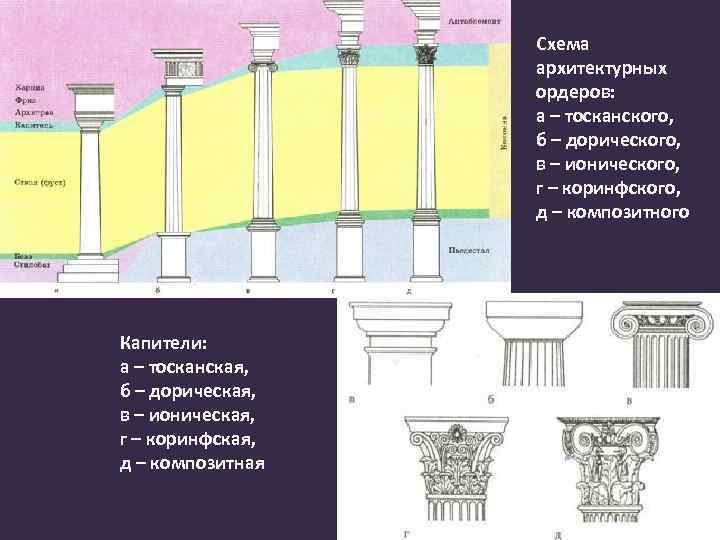 Схема архитектурных ордеров: а – тосканского, б – дорического, в – ионического, г –