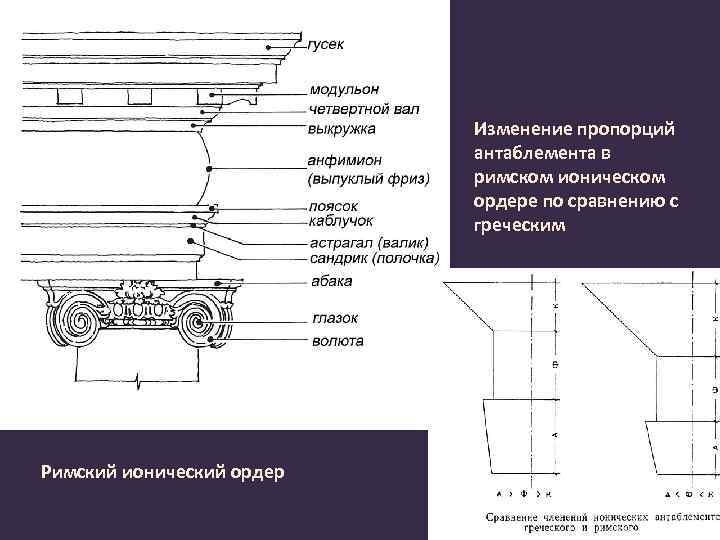 Изменение пропорций антаблемента в римском ионическом ордере по сравнению с греческим Римский ионический ордер