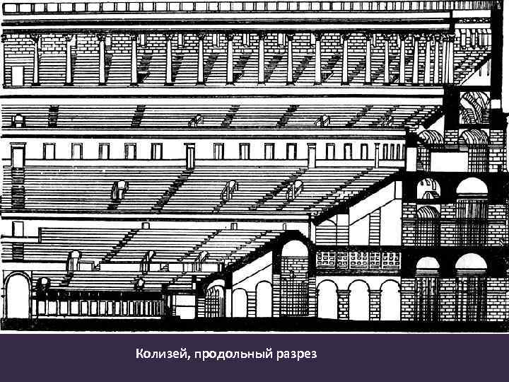 Колизей, продольный разрез 