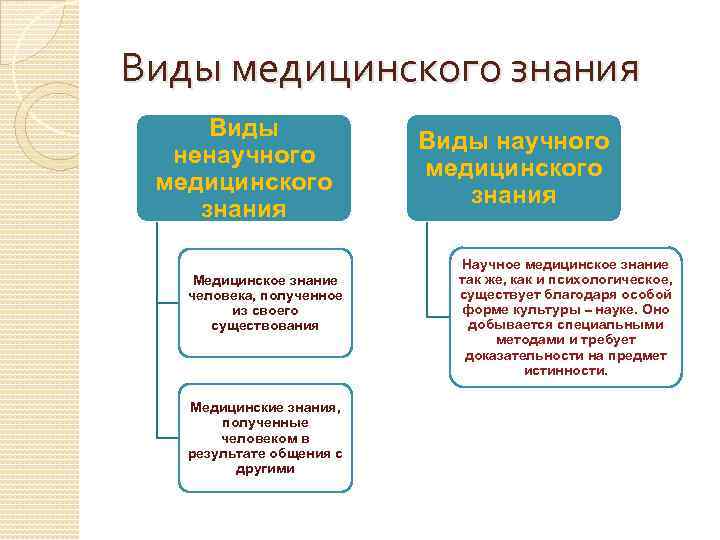 Наука как источник знания о человеке