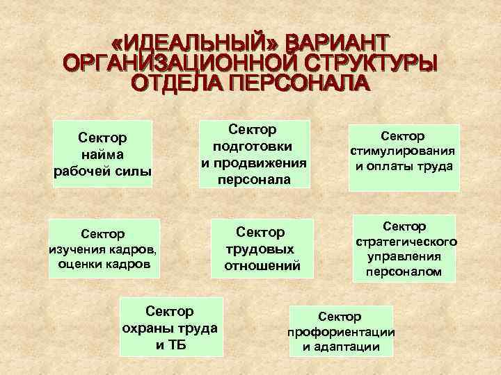  «ИДЕАЛЬНЫЙ» ВАРИАНТ ОРГАНИЗАЦИОННОЙ СТРУКТУРЫ ОТДЕЛА ПЕРСОНАЛА Сектор найма рабочей силы Сектор подготовки и