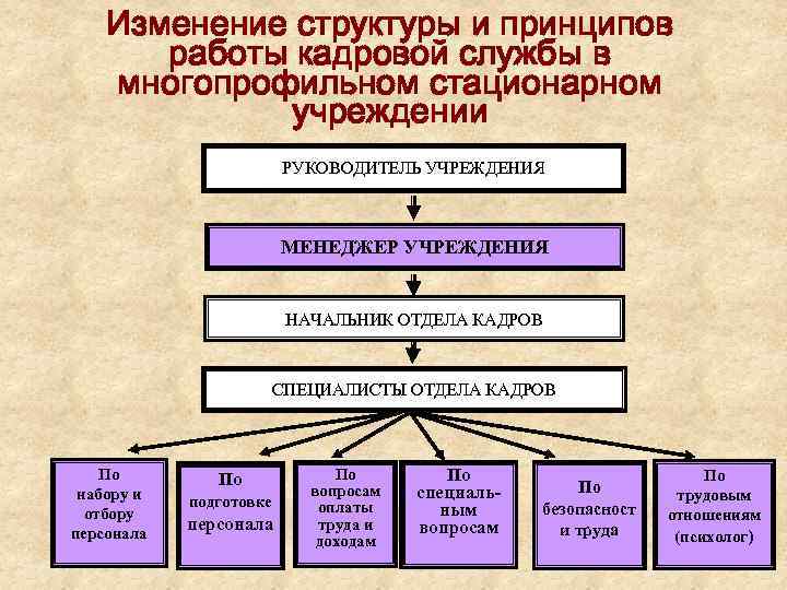 Изменение структуры и принципов работы кадровой службы в многопрофильном стационарном учреждении РУКОВОДИТЕЛЬ УЧРЕЖДЕНИЯ МЕНЕДЖЕР