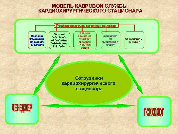 МОДЕЛЬ КАДРОВОЙ СЛУЖБЫ КАРДИОХИРУРГИЧЕСКОГО СТАЦИОНАРА Руководитель отдела кадров Ведущий специалист по подбору персонала Ведущий