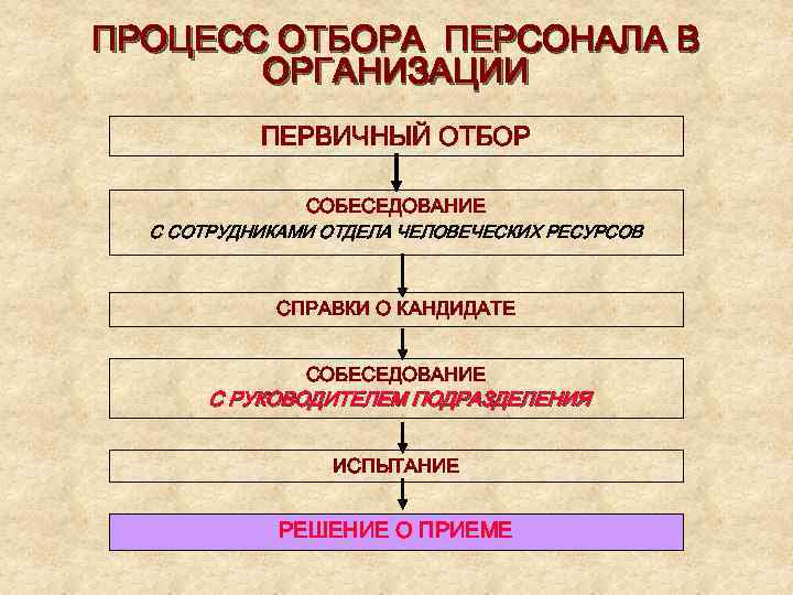 ПРОЦЕСС ОТБОРА ПЕРСОНАЛА В ОРГАНИЗАЦИИ ПЕРВИЧНЫЙ ОТБОР СОБЕСЕДОВАНИЕ С СОТРУДНИКАМИ ОТДЕЛА ЧЕЛОВЕЧЕСКИХ РЕСУРСОВ СПРАВКИ