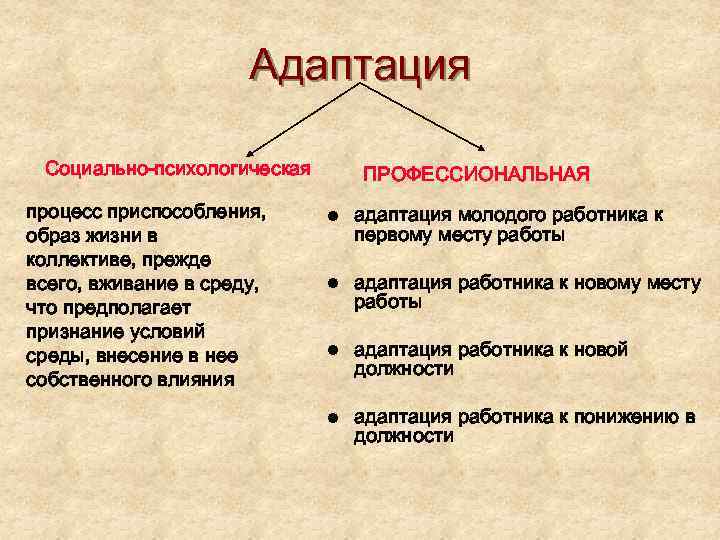 Адаптация Социально-психологическая процесс приспособления, образ жизни в коллективе, прежде всего, вживание в среду, что