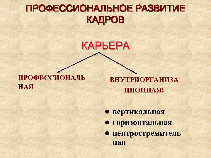 ПРОФЕССИОНАЛЬНОЕ РАЗВИТИЕ КАДРОВ КАРЬЕРА ПРОФЕССИОНАЛЬ НАЯ ВНУТРИОРГАНИЗА ЦИОННАЯ: вертикальная l горизонтальная l центростремитель ная