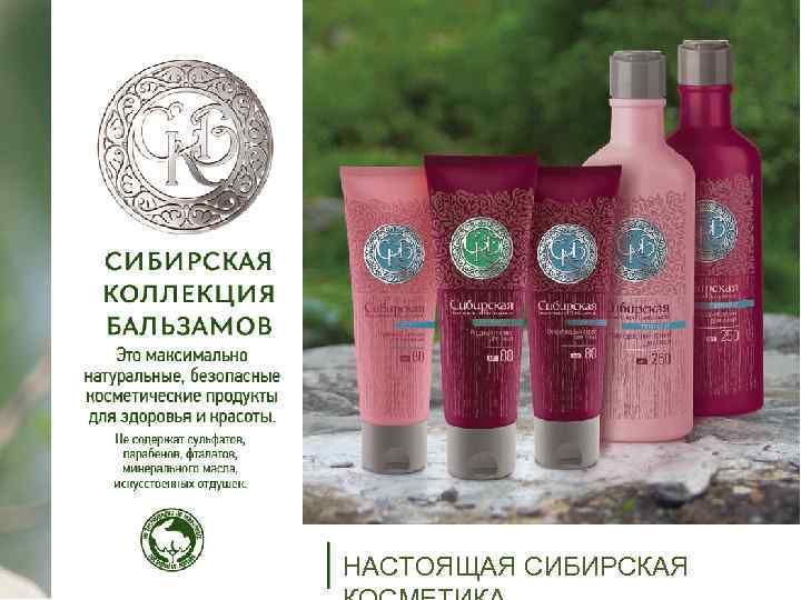 НАСТОЯЩАЯ СИБИРСКАЯ 