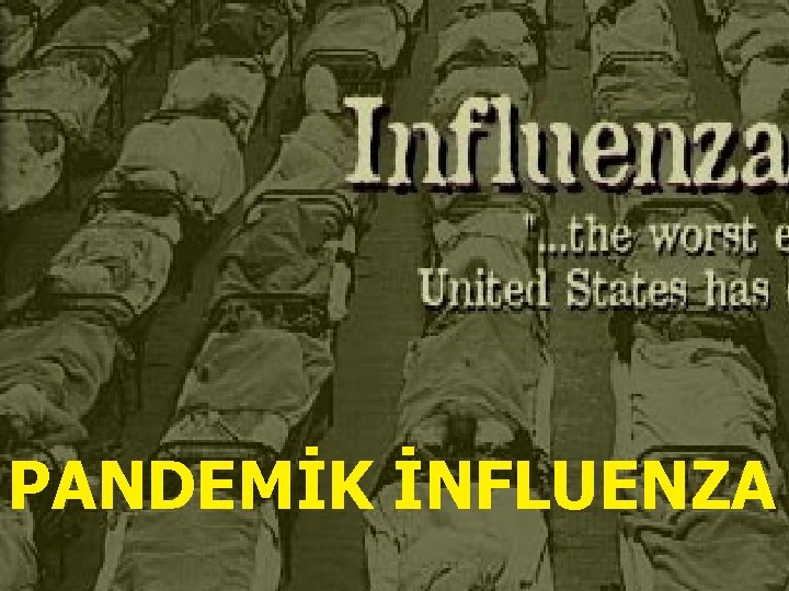 PANDEMİK İNFLUENZA 