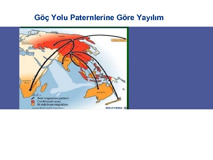 Göç Yolu Paternlerine Göre Yayılım 