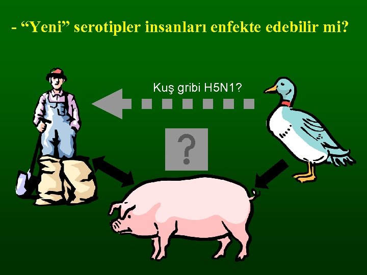 - “Yeni” serotipler insanları enfekte edebilir mi? Kuş gribi H 5 N 1? 
